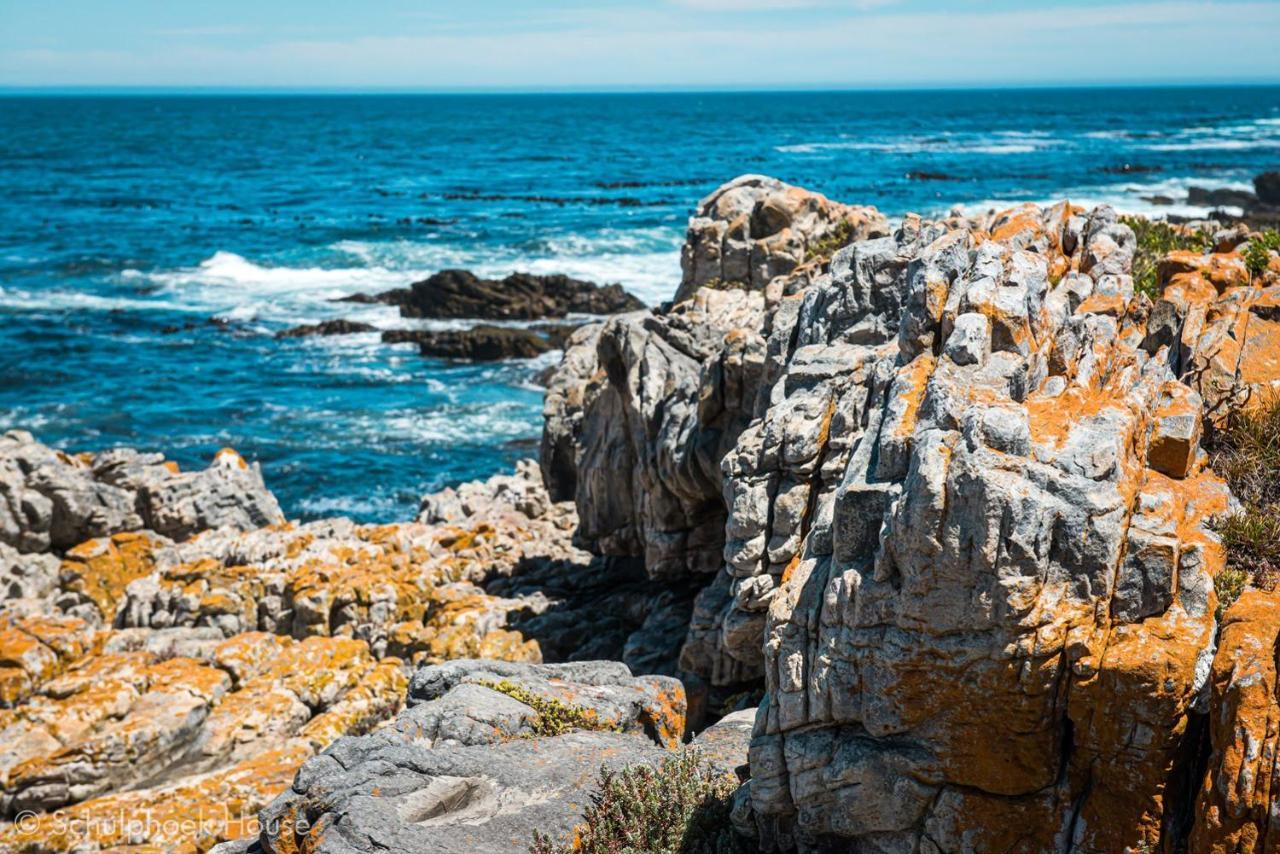 Schulphoek Seafront House Hermanus Exterior photo The coast of the park
